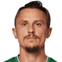 Ljubomir Fejsa