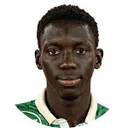 Nfansu Njie