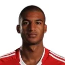 David N'Gog