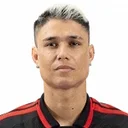 Luiz Araújo