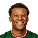 Georginio Wijnaldum
