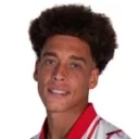 Axel Witsel