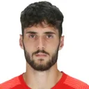 Fernando Niño