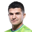 Tarik Elyounoussi
